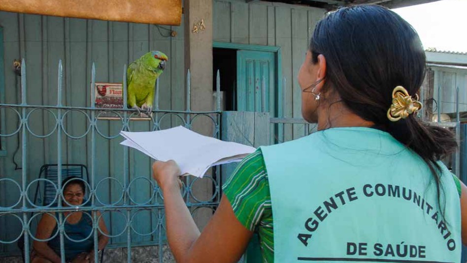 Dia Nacional do Agente Comunitário de Saúde (ACS) e do Agente de Combate às Endemias (ACE),